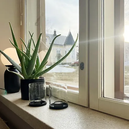 Violet 公寓 皮埃塔尔萨里